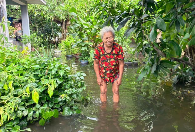 胡志明市永禄乡调集抽水机为居民区排涝