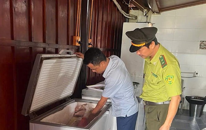 越南河静省拆除捕鸟陷阱，保护候鸟迁徙
