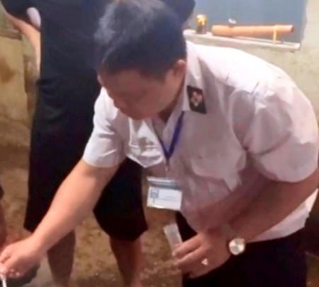 胡志明市连续查获非法生猪屠宰点
