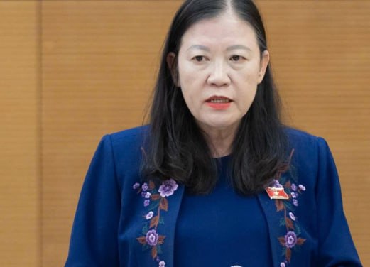 #越南新闻 国会常务委员会审议公民接待及信访工作报告
